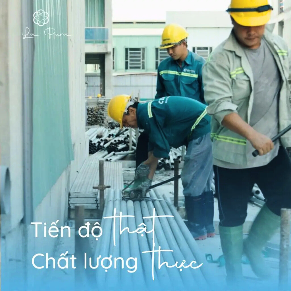 Tiến độ La Pura (3)